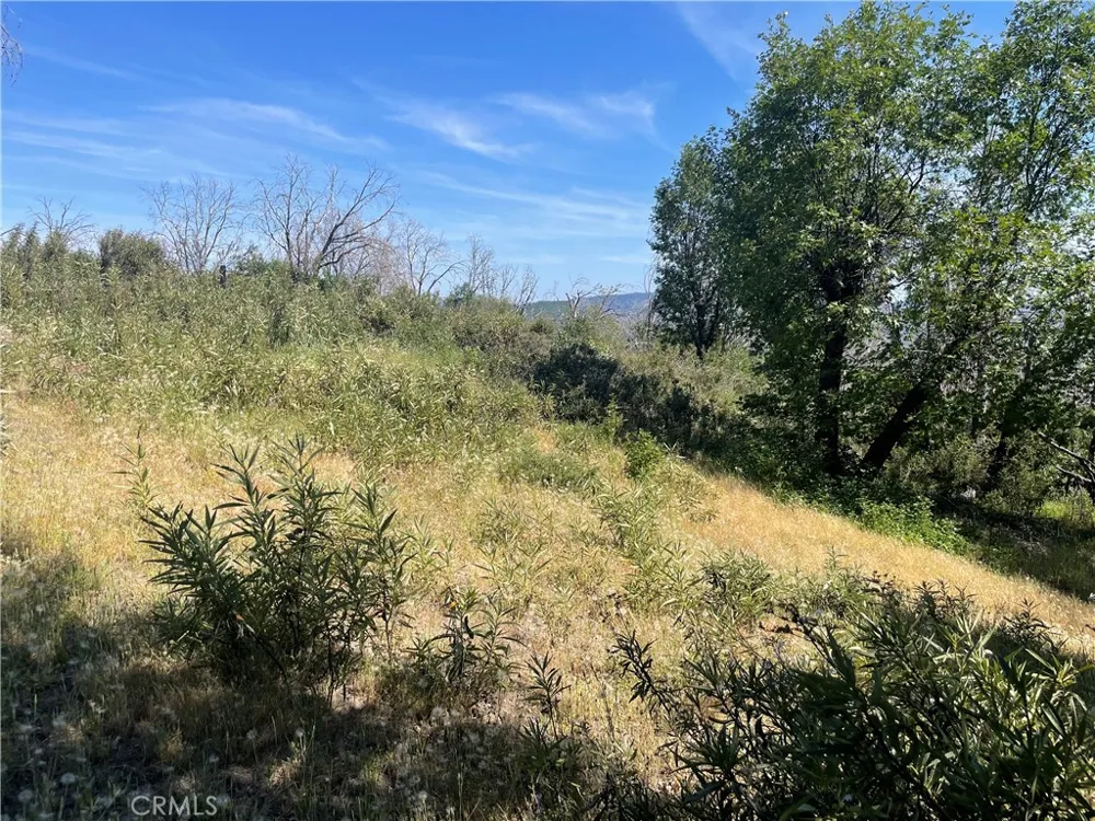 363 Raccoon Road Berry Creek, CA 95916