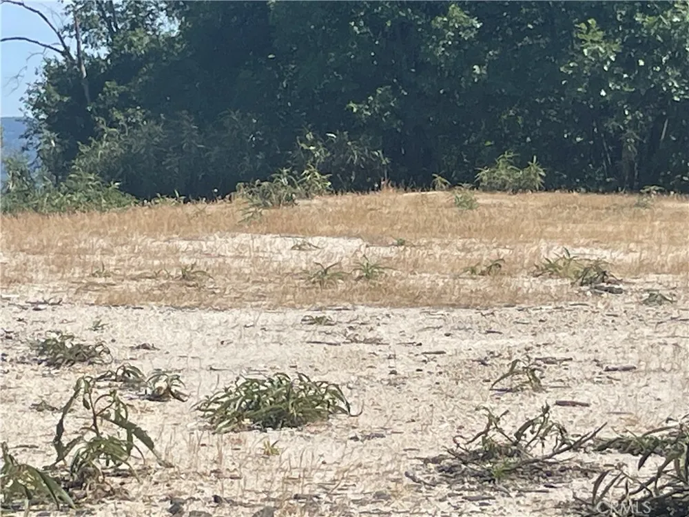 363 Raccoon Road Berry Creek, CA 95916
