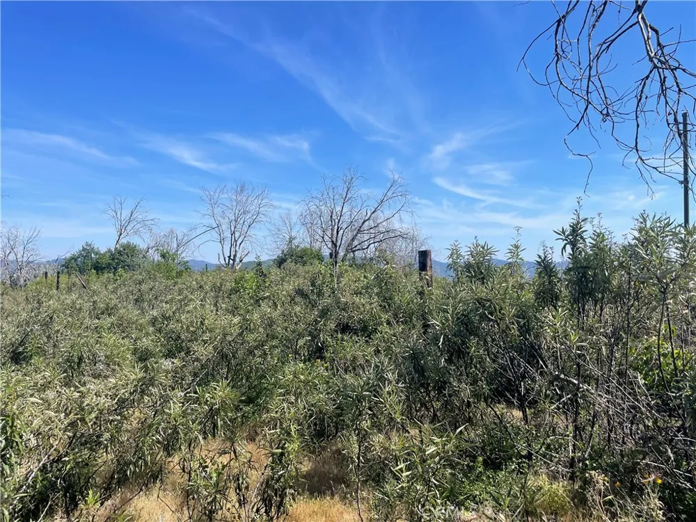 363 Raccoon Road Berry Creek, CA 95916