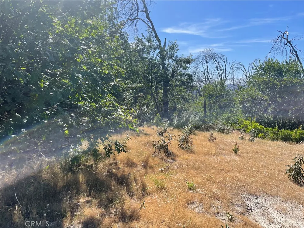 363 Raccoon Road Berry Creek, CA 95916