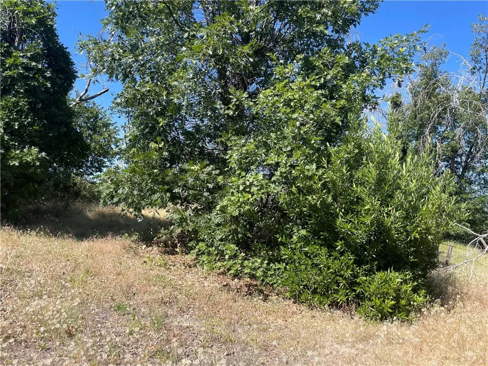 363 Raccoon Road Berry Creek, CA 95916