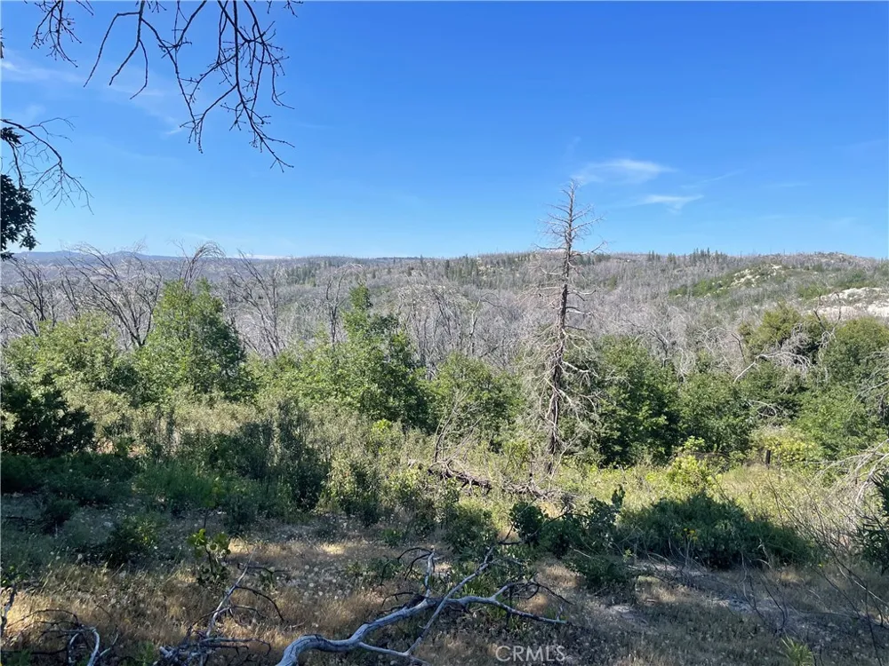 363 Raccoon Road Berry Creek, CA 95916