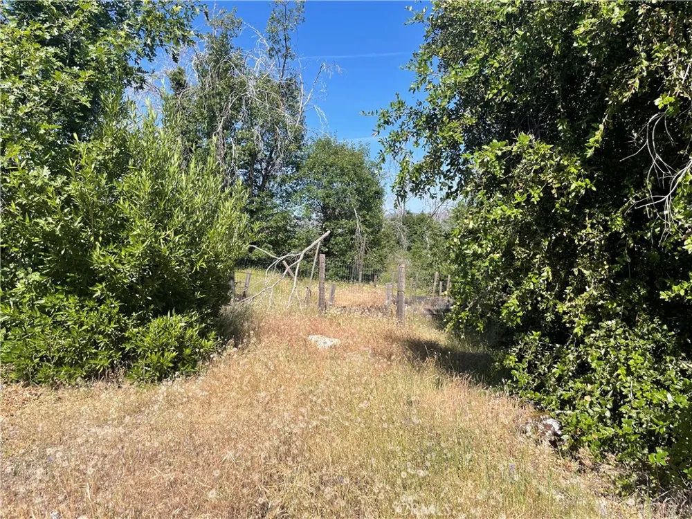 363 Raccoon Road Berry Creek, CA 95916