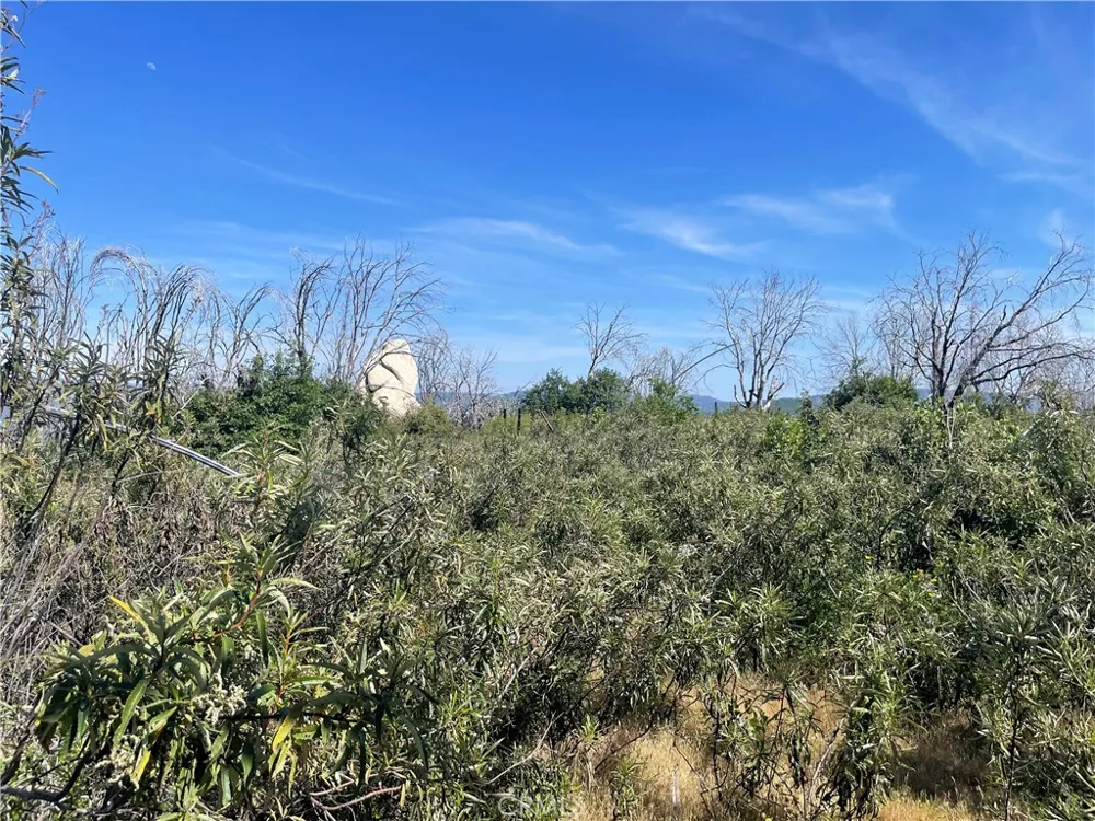 363 Raccoon Road Berry Creek, CA 95916