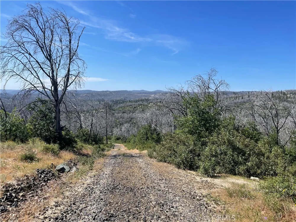 363 Raccoon Road Berry Creek, CA 95916