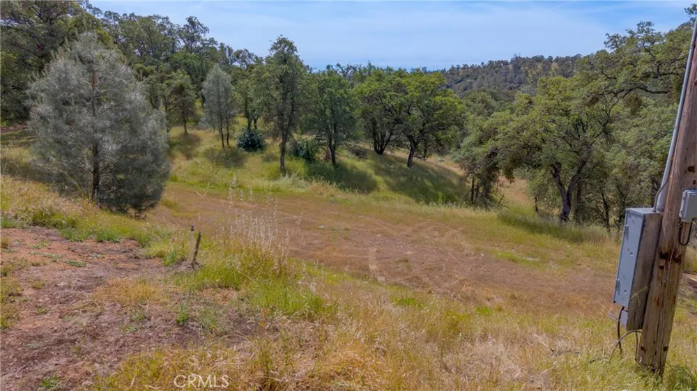 3222 Hormiga Court Coulterville, CA 95311