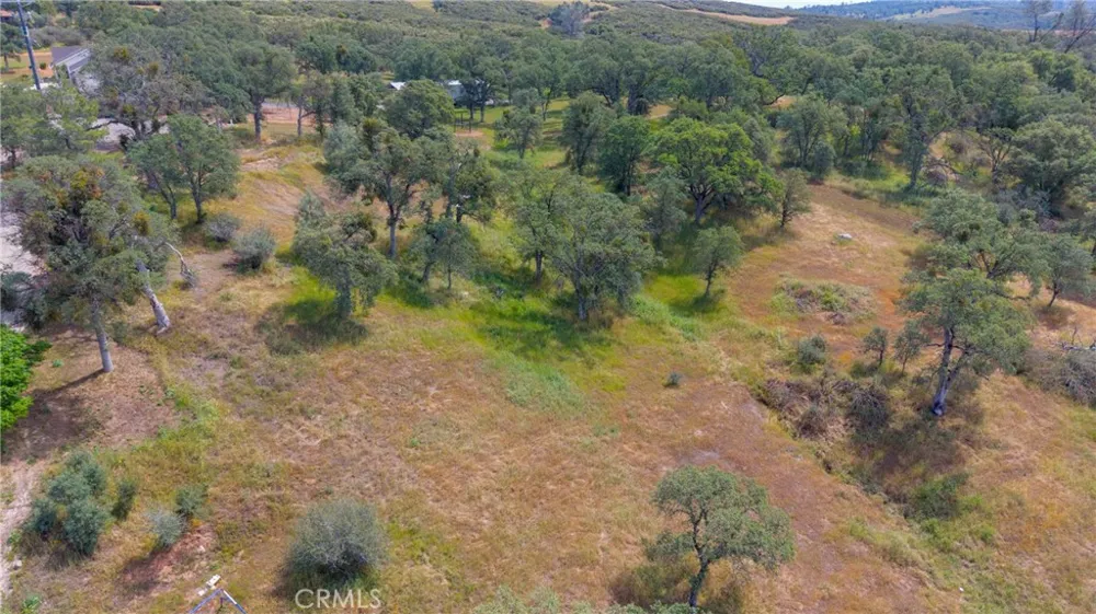 3222 Hormiga Court Coulterville, CA 95311