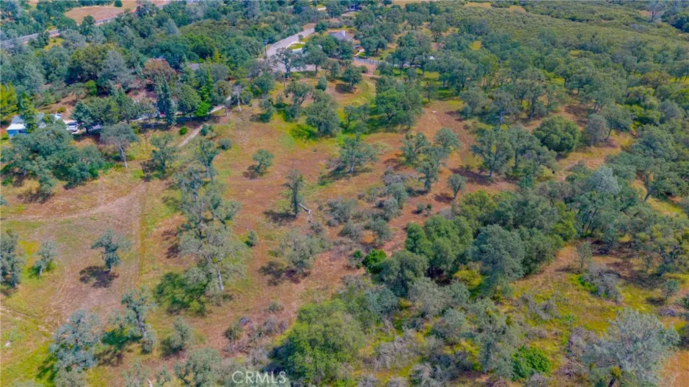 3222 Hormiga Court Coulterville, CA 95311