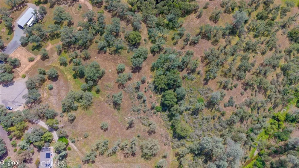 3222 Hormiga Court Coulterville, CA 95311