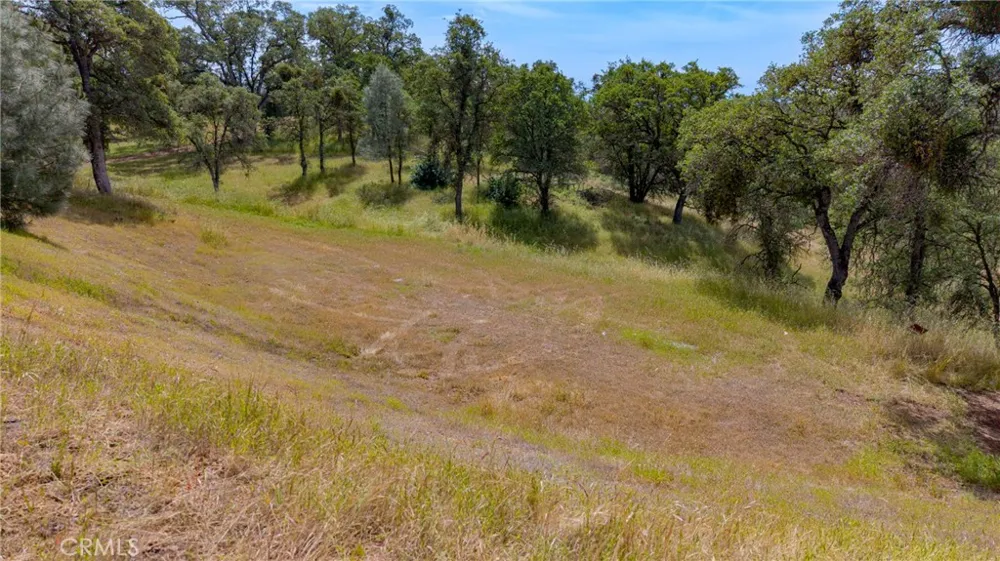 3222 Hormiga Court Coulterville, CA 95311