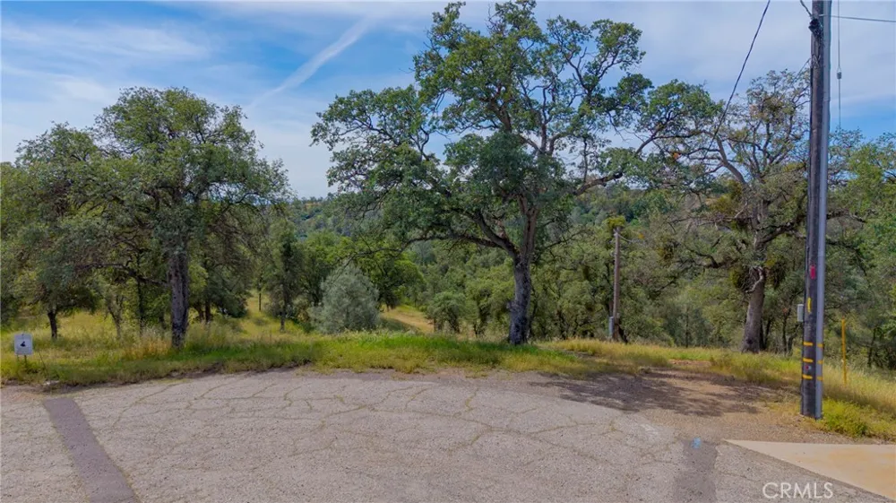 3222 Hormiga Court Coulterville, CA 95311