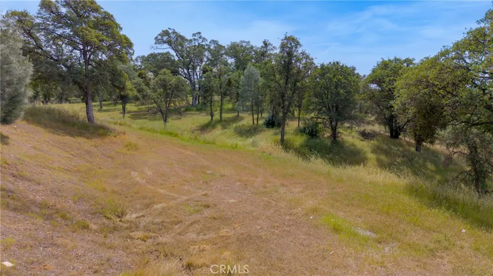 3222 Hormiga Court Coulterville, CA 95311