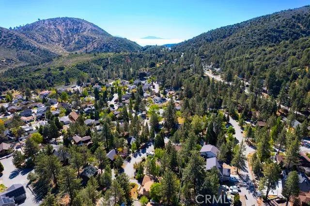 2285 Lausanne Drive Wrightwood, CA 92397