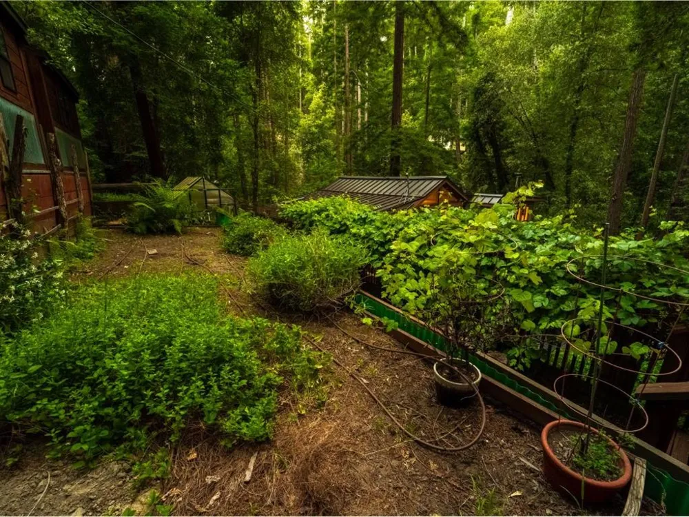 414 Hiawatha Road Boulder Creek, CA 95006
