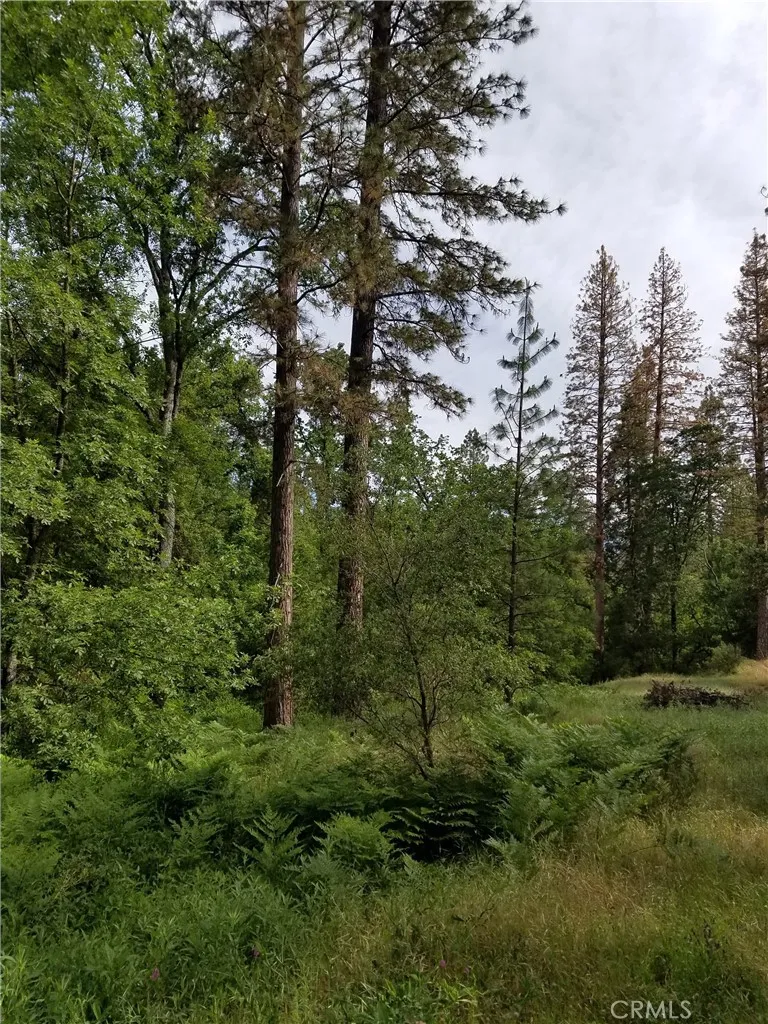 Road 225 North Fork, CA 93643