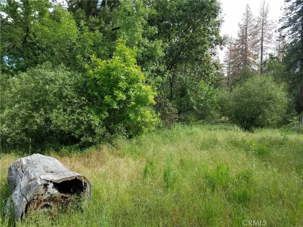 Road 225 North Fork, CA 93643