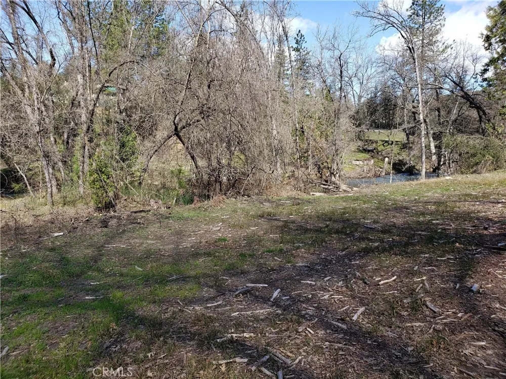 Road 225 North Fork, CA 93643