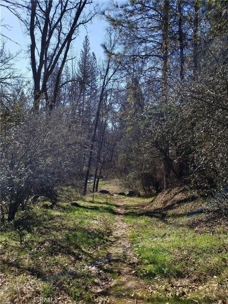 Road 225 North Fork, CA 93643
