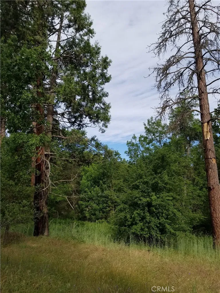 Road 225 North Fork, CA 93643