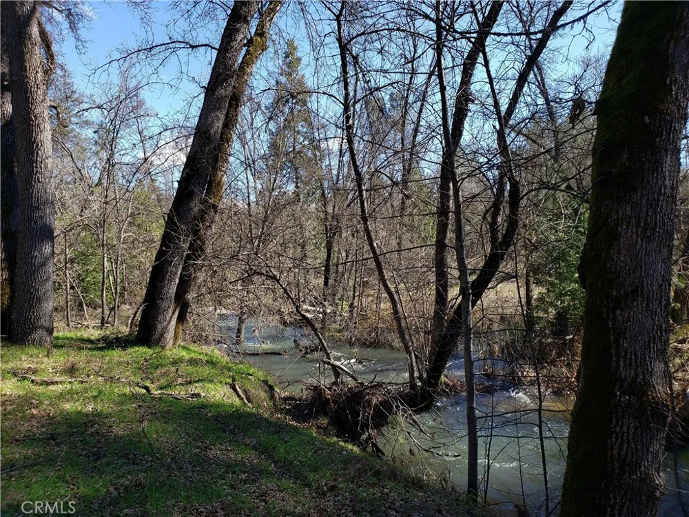 Road 225 North Fork, CA 93643