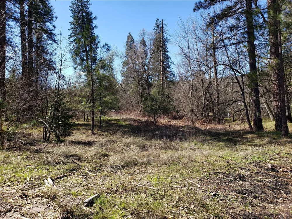 Road 225 North Fork, CA 93643