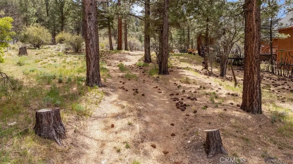 Skyview Big Bear, CA 92314