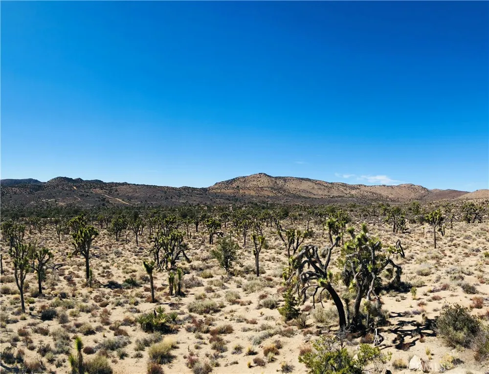 27 Vista Road Pioneertown, CA 92356