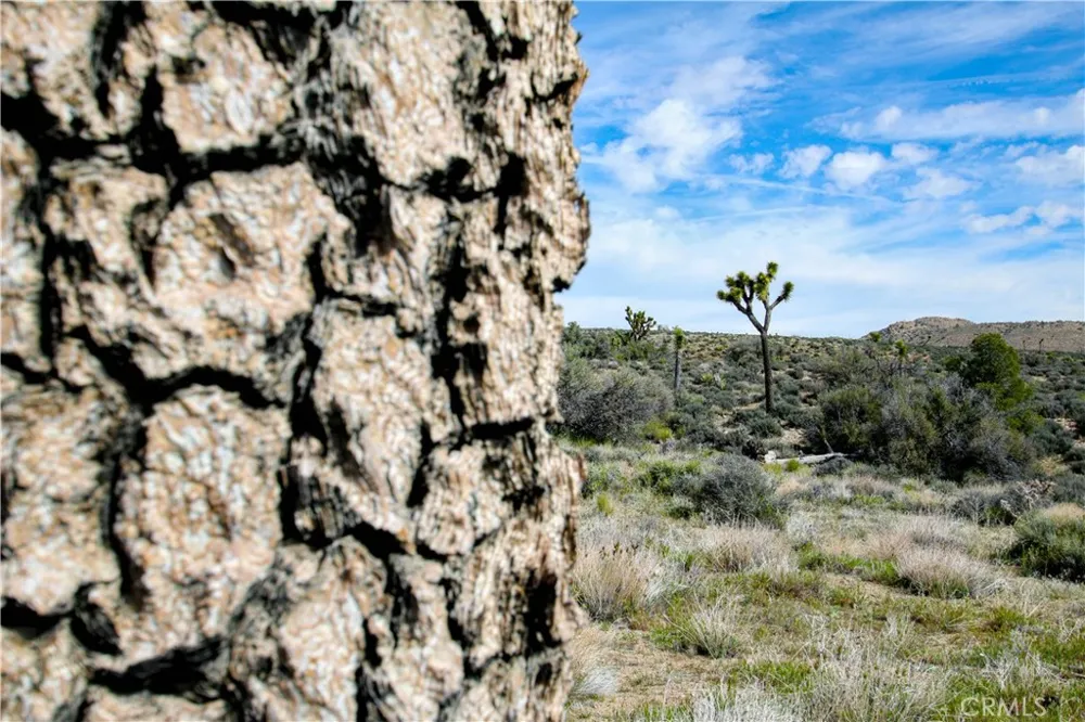 27 Vista Road Pioneertown, CA 92356