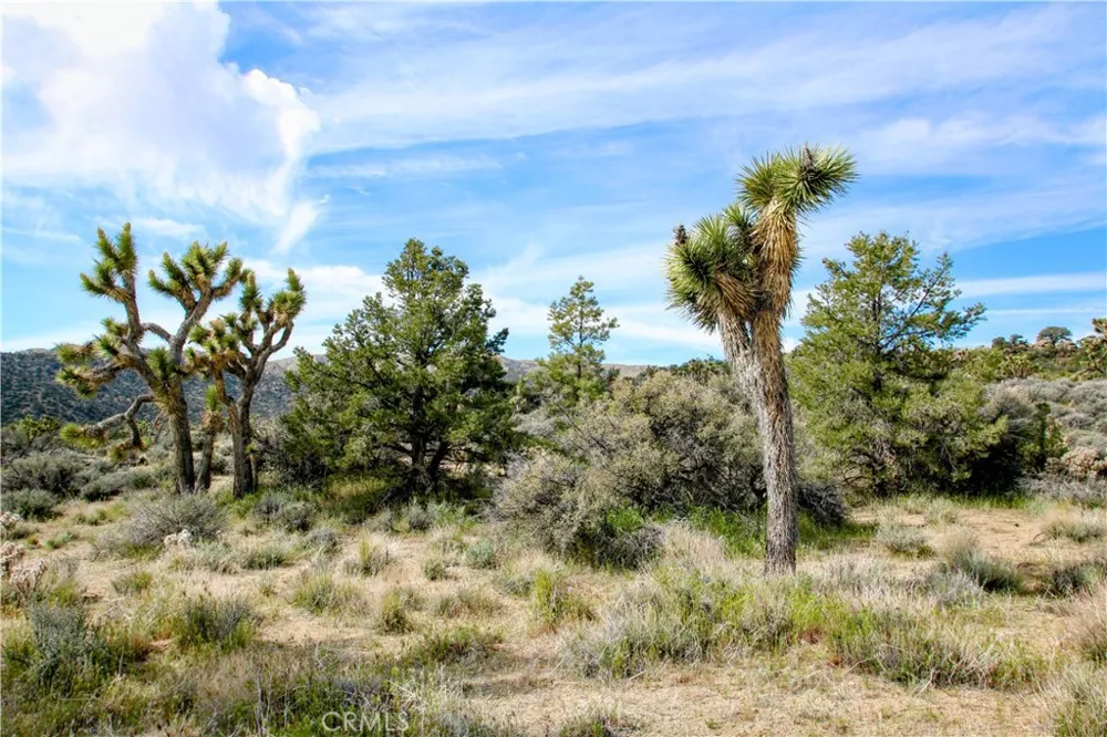 27 Vista Road Pioneertown, CA 92356