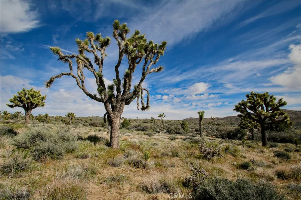 27 Vista Road Pioneertown, CA 92356