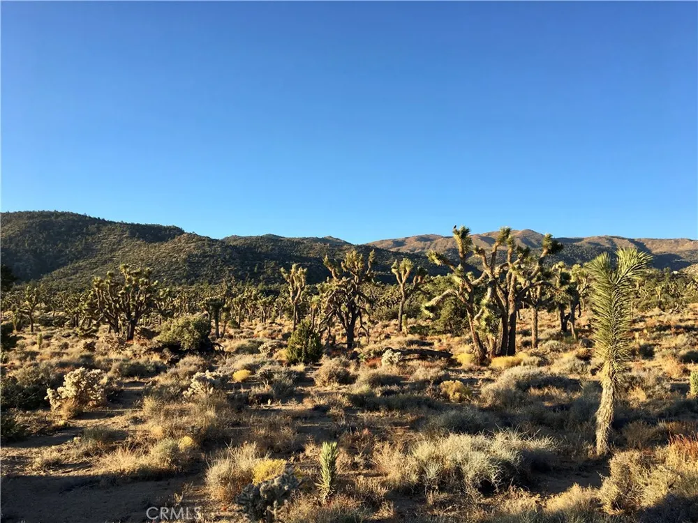 27 Vista Road Pioneertown, CA 92356