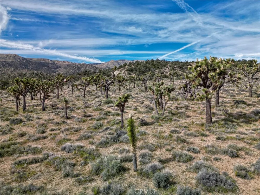 26 Vista Road Pioneertown, CA 92356