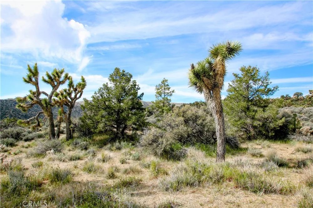 26 Vista Road Pioneertown, CA 92356