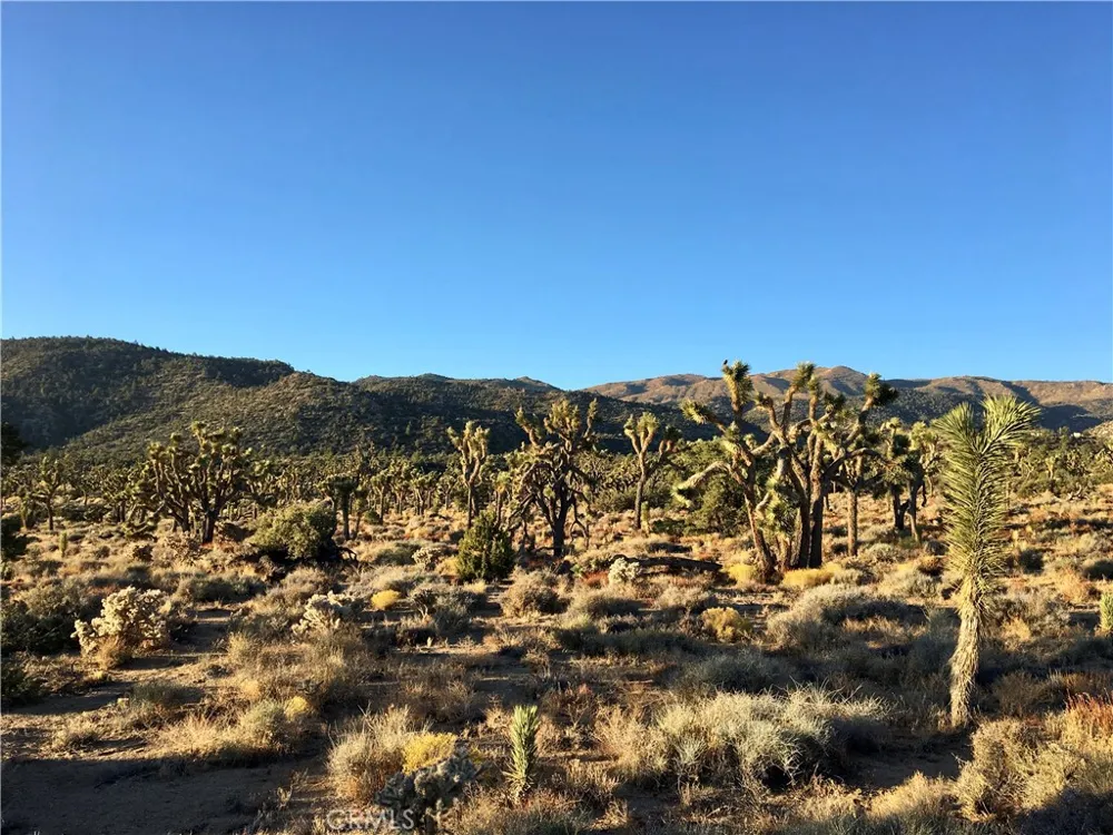 26 Vista Road Pioneertown, CA 92356