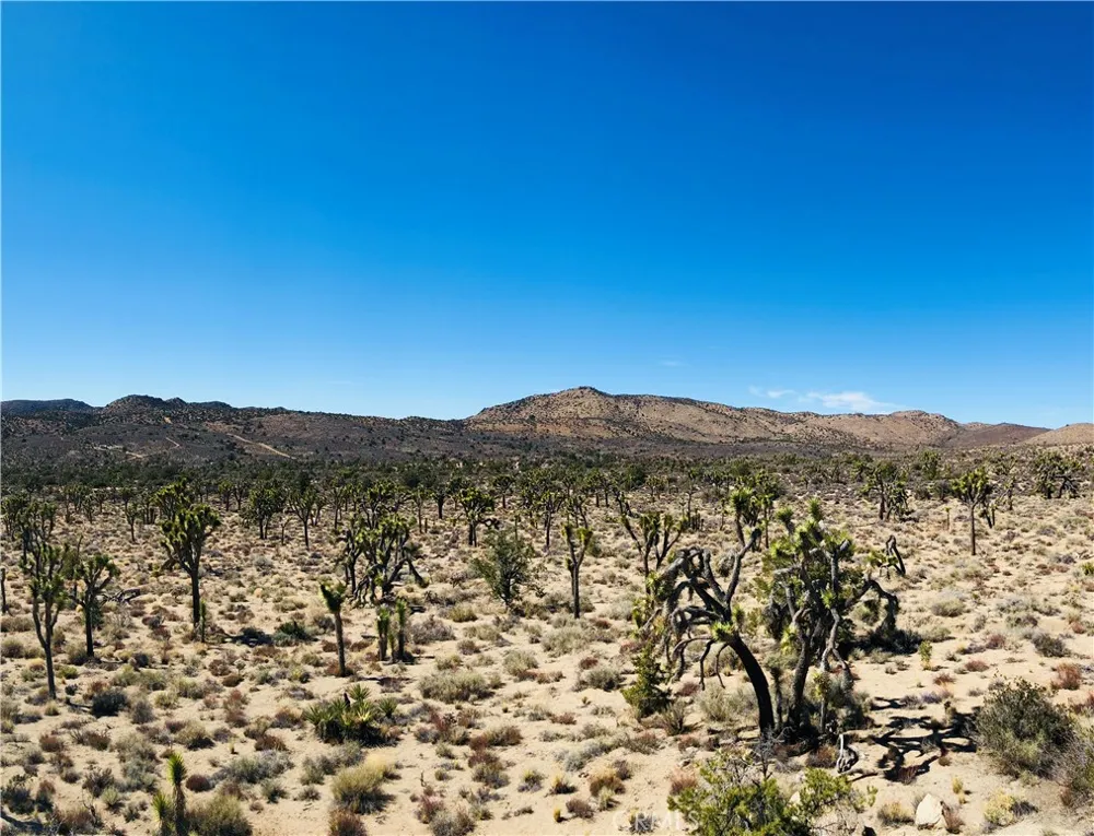 26 Vista Road Pioneertown, CA 92356