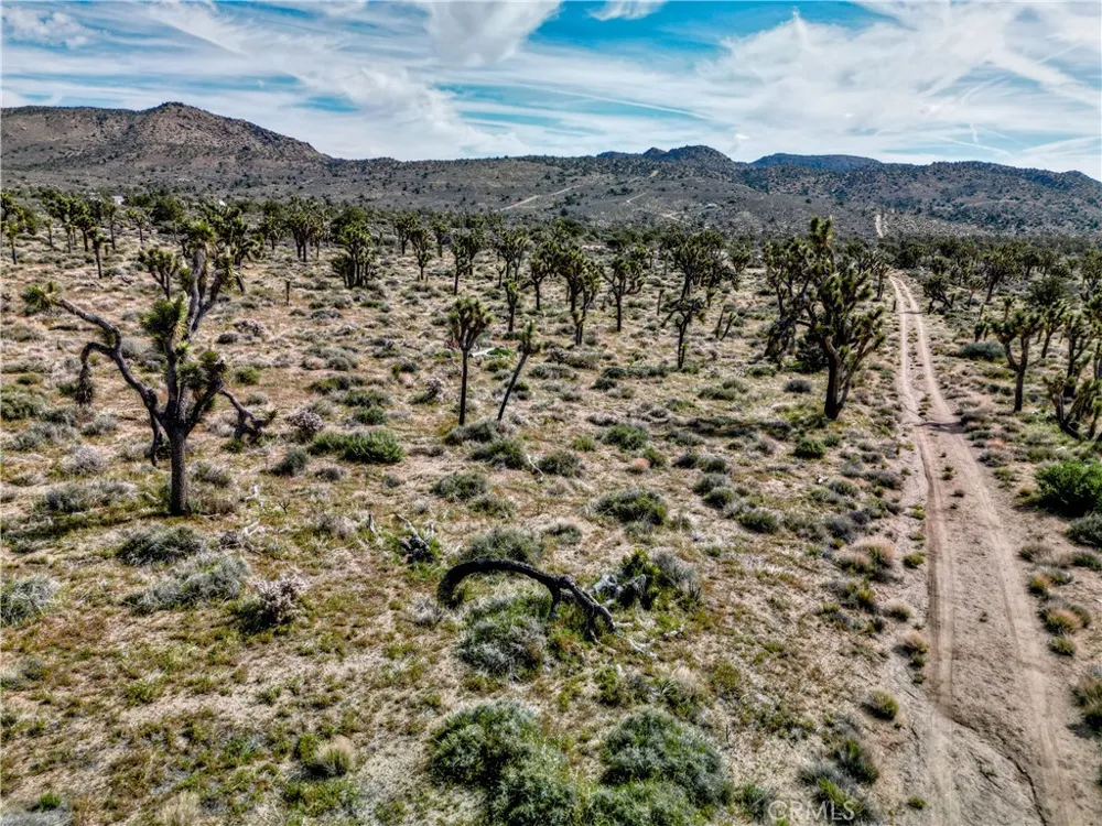 26 Vista Road Pioneertown, CA 92356