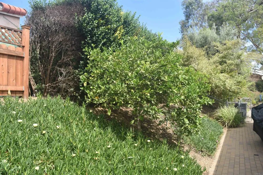 5436 Fairgreen Way Bonsall, CA 92003