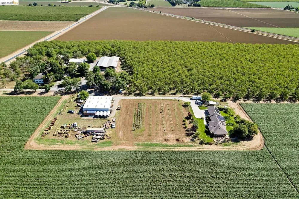 2445 Taylor Ln Byron, CA 94514