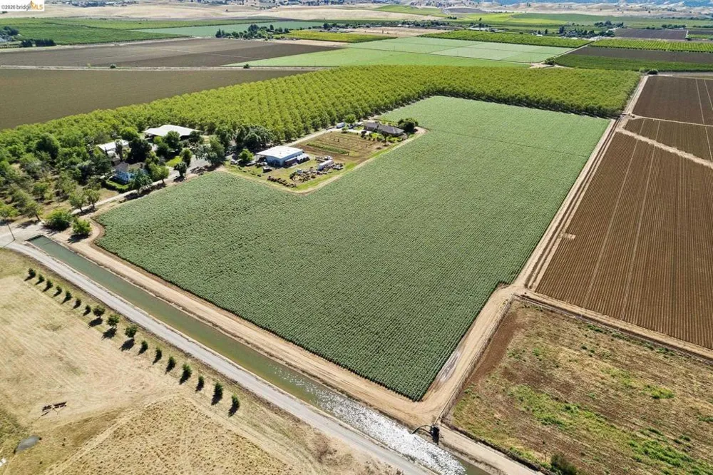 2445 Taylor Ln Byron, CA 94514