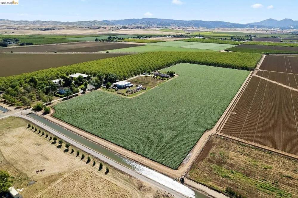 2445 Taylor Ln Byron, CA 94514