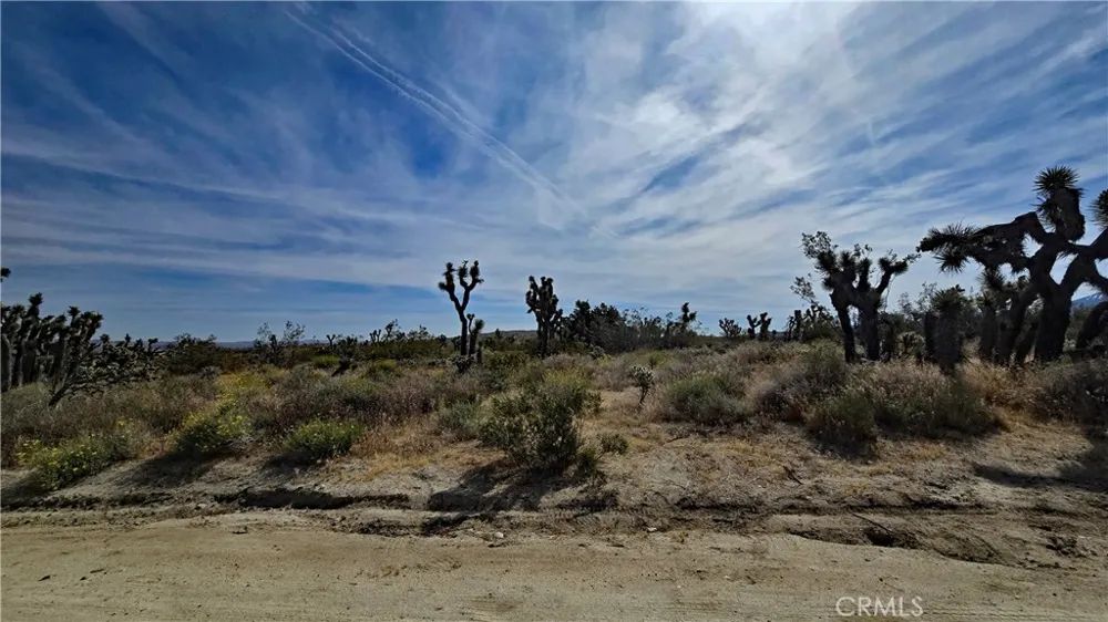 103rd St East vicinity W14 Juniper Hills, CA 93543
