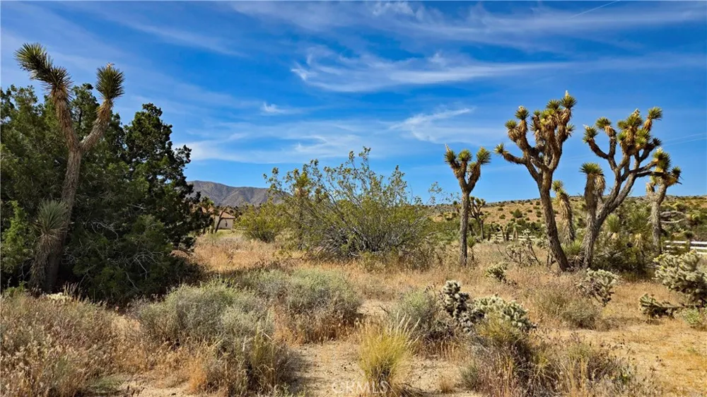 103rd St East vicinity W14 Juniper Hills, CA 93543
