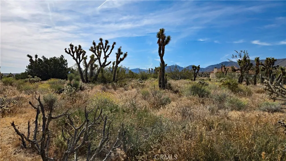 103rd St East vicinity W14 Juniper Hills, CA 93543