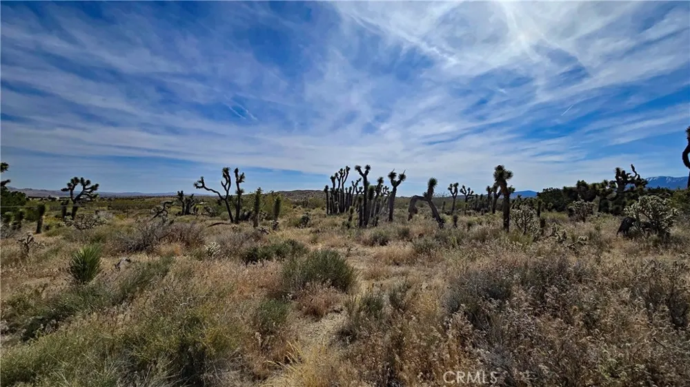 103rd St East vicinity W14 Juniper Hills, CA 93543