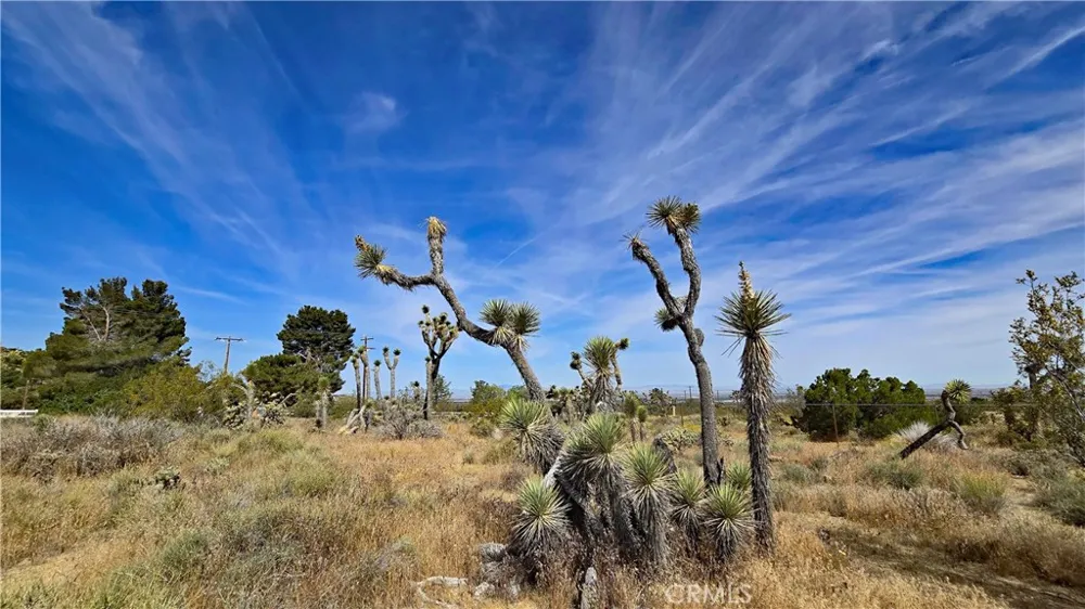 103rd St East vicinity W14 Juniper Hills, CA 93543