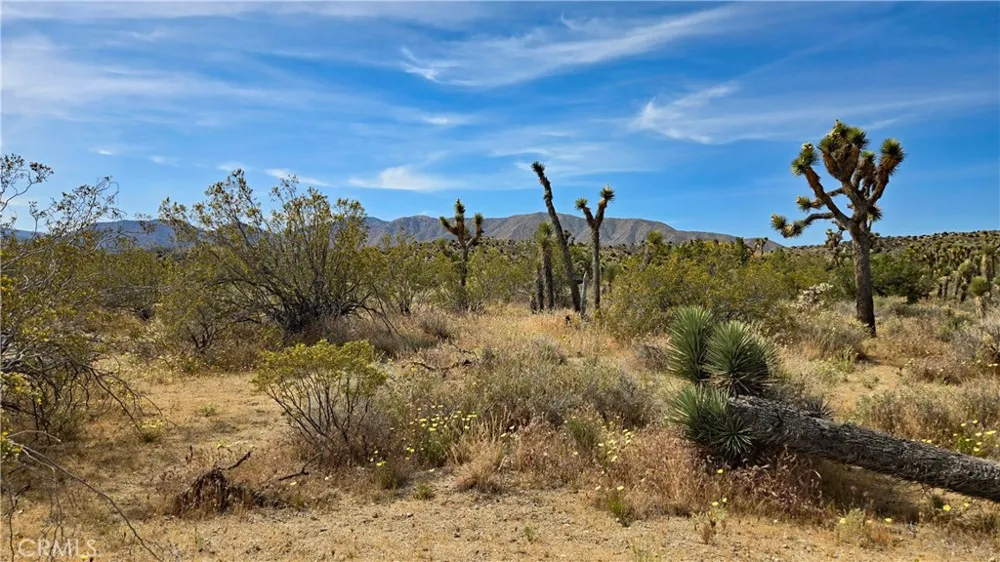 103rd St East vicinity W14 Juniper Hills, CA 93543