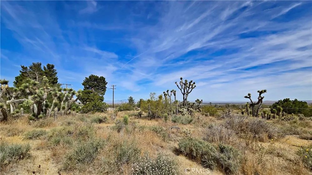 103rd St East vicinity W14 Juniper Hills, CA 93543