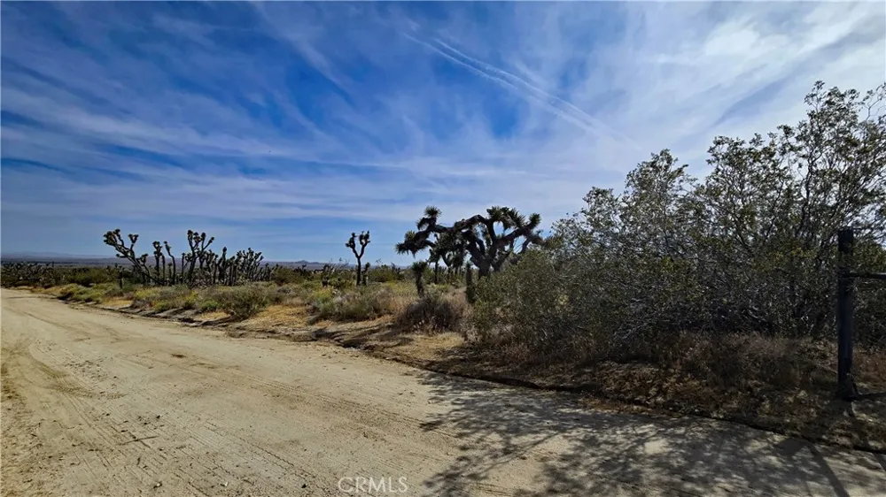103rd St East vicinity W14 Juniper Hills, CA 93543
