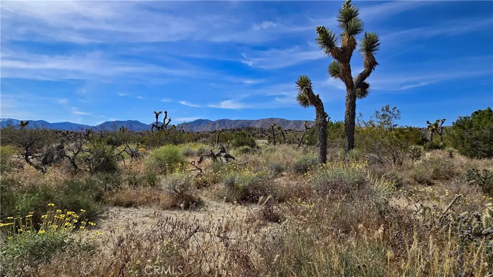 103rd St East vicinity W14 Juniper Hills, CA 93543