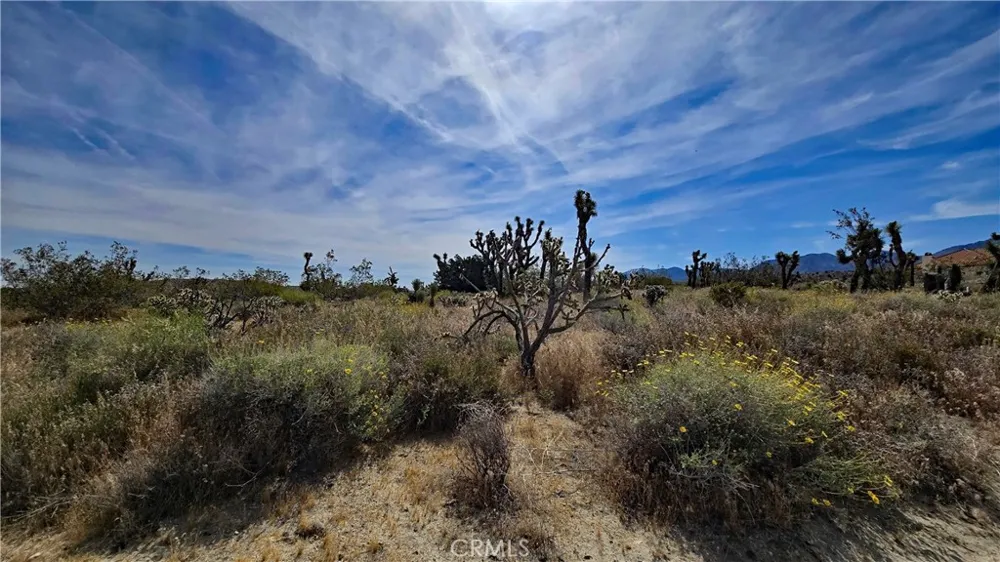 103rd St East vicinity W14 Juniper Hills, CA 93543